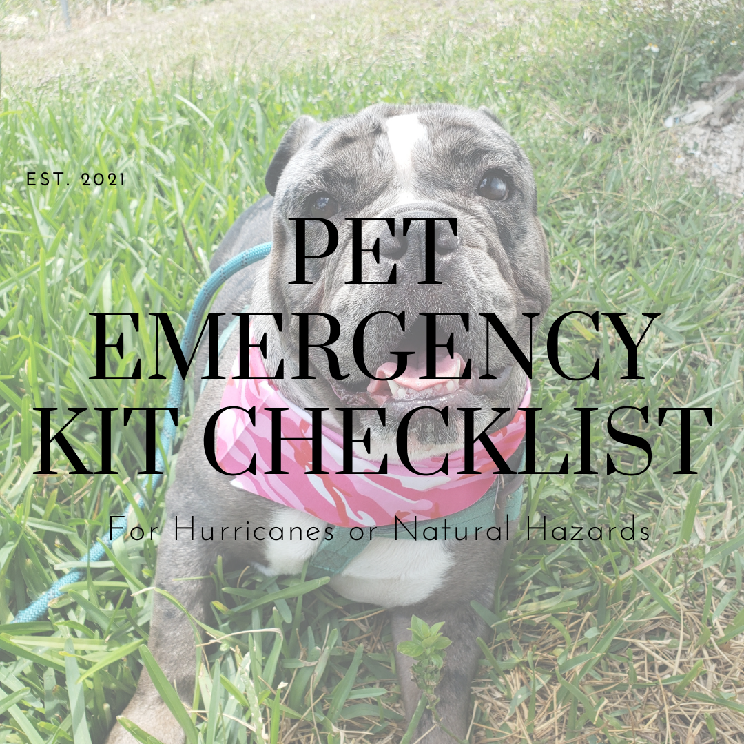 Pet Preparedness & Safety