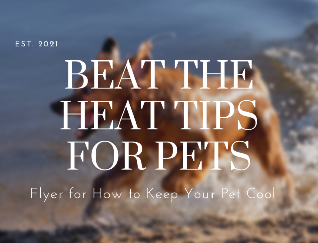 Heatwave Pets Cover